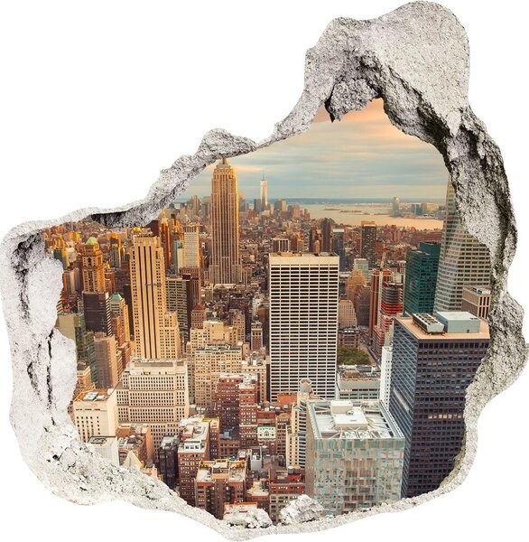 Fototapeta diera na stenu 3D New york letu vták