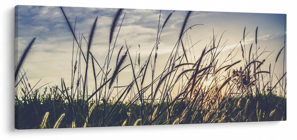 Obraz lúčnych kvetov (120x50 cm)