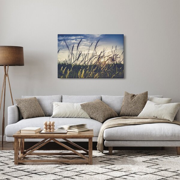 Obraz lúčnych kvetov (90x60 cm)