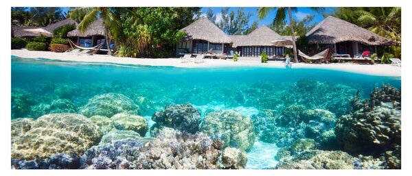Obraz pláže na tropickom ostrove (120x50 cm)