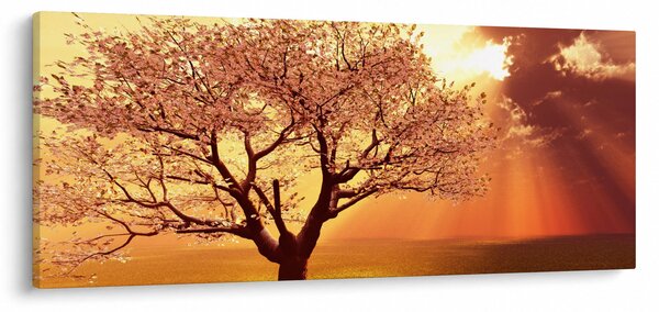 Obraz lúčov Boha (120x50 cm)