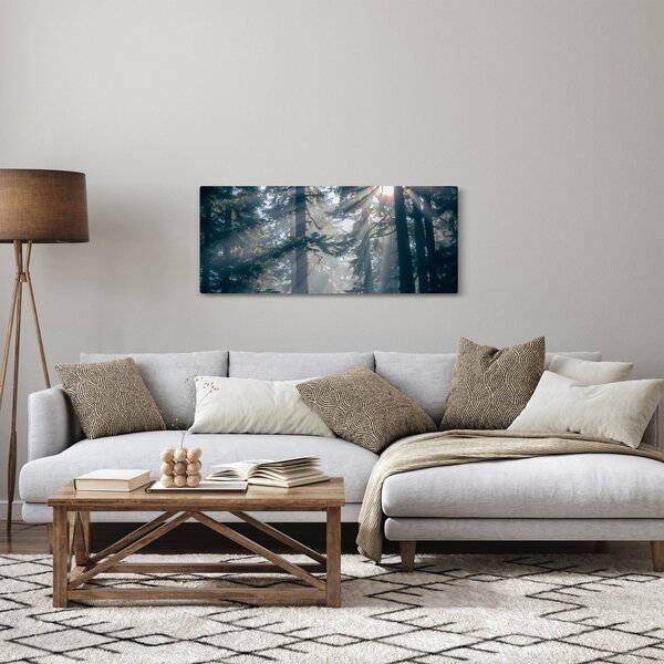 Obraz stromov s presvitajúcim slnkom (120x50 cm)