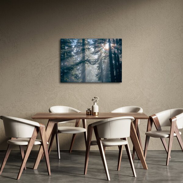 Obraz stromov s presvitajúcim slnkom (70x50 cm)