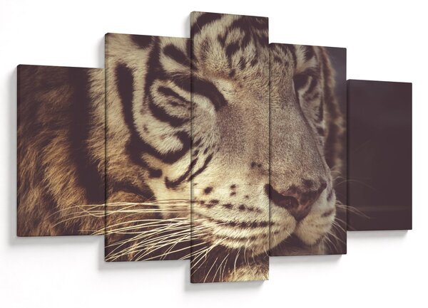 Obraz tigra (150x105 cm)