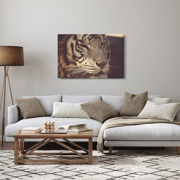 Obraz tigra (90x60 cm)