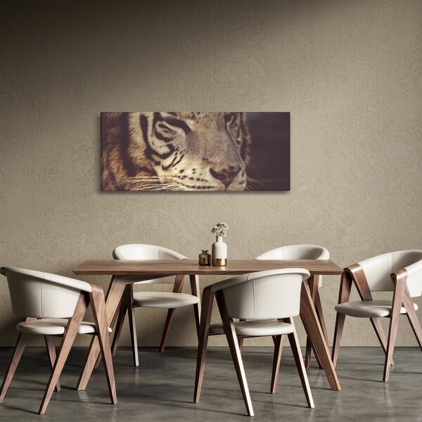 Obraz tigra (120x50 cm)