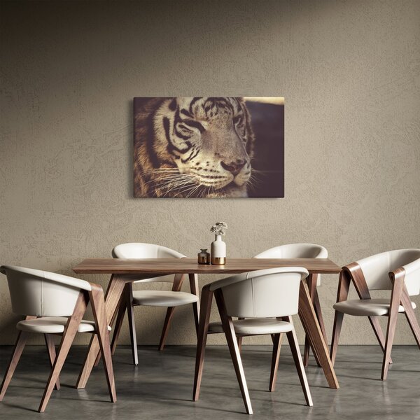 Obraz tigra (90x60 cm)