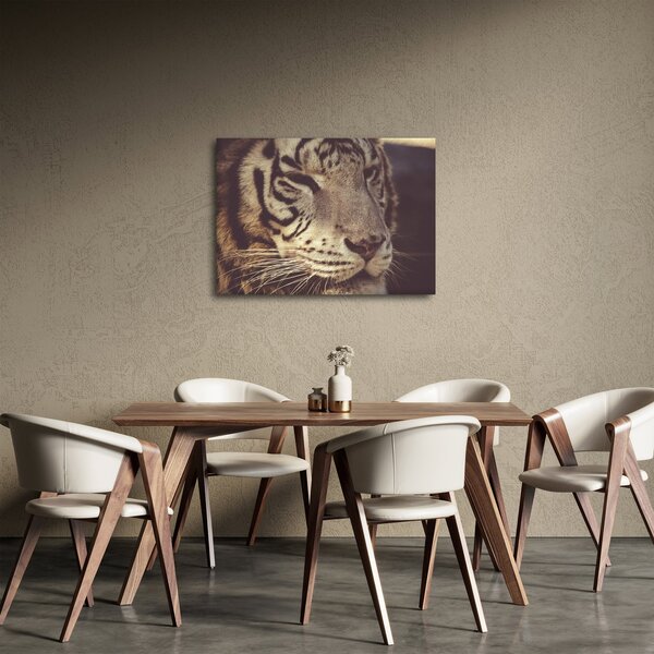 Obraz tigra (70x50 cm)
