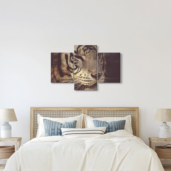 Obraz tigra (90x60 cm)