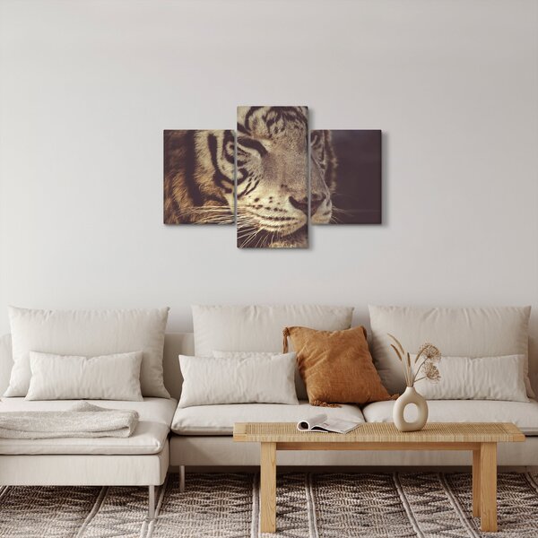 Obraz tigra (90x60 cm)