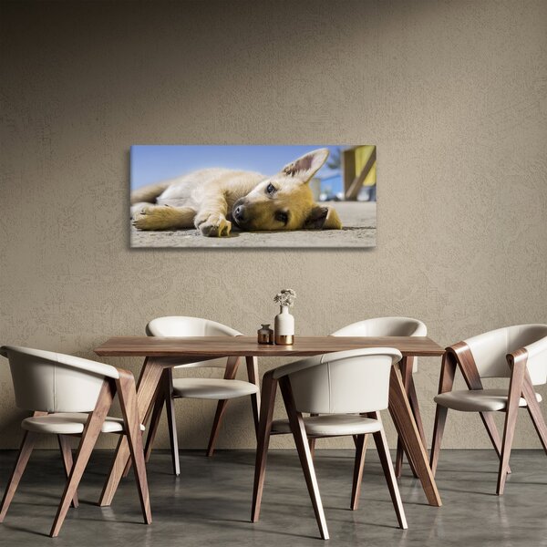 Obraz ležiaceho šteňaťa (120x50 cm)