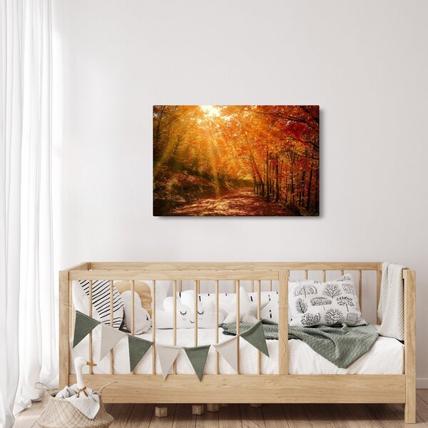 Obraz jesenného lesa (90x60 cm)