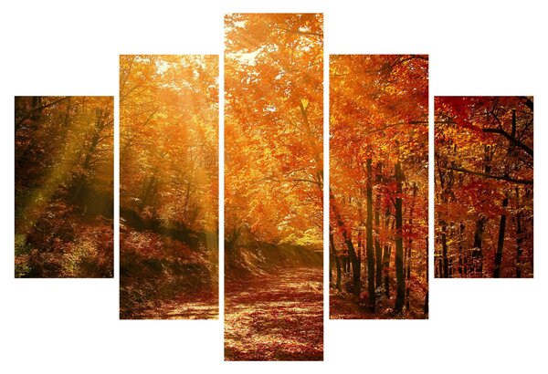 Obraz jesenného lesa (150x105 cm)