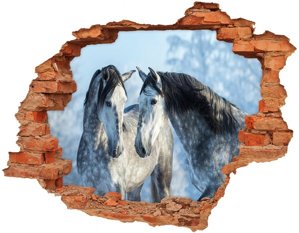 Fototapeta diera na stenu Gray kone v zime nd-c-116887257