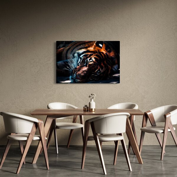 Obraz ležiaceho tigra (90x60 cm)