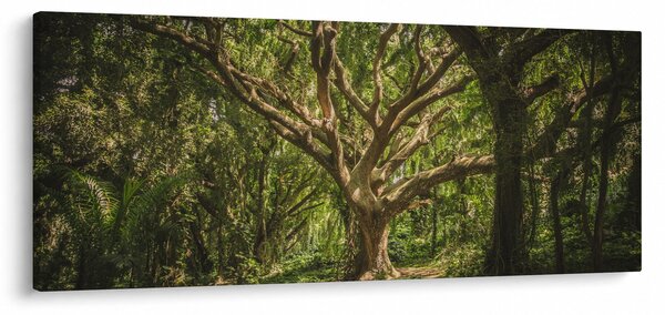 Obraz stromov (120x50 cm)