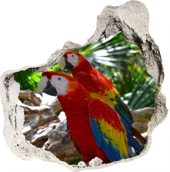 Fotoobraz diera na stenu Papagáje ara nd-p-101702658
