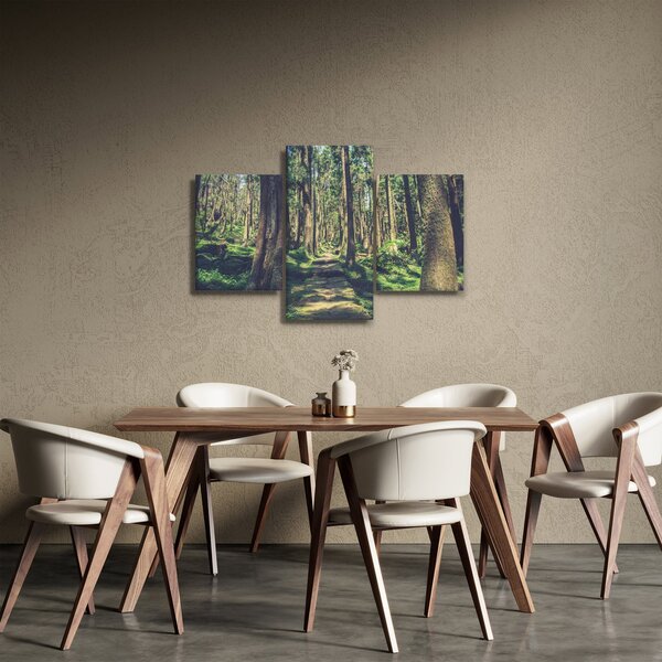 Obraz cesty medzi stromami (90x60 cm)