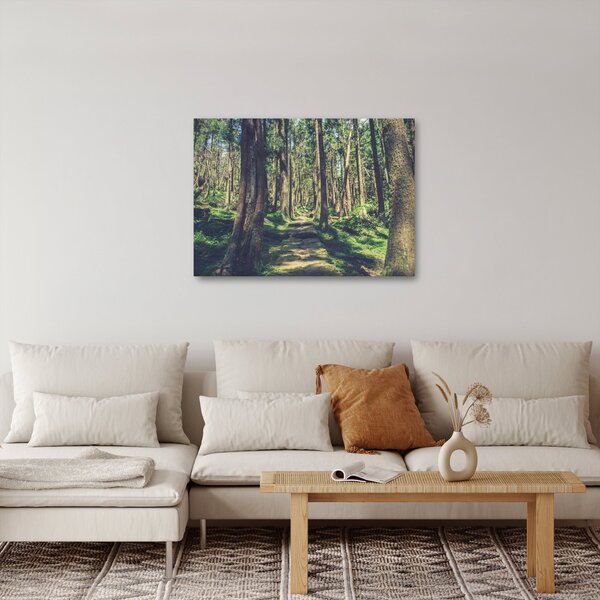 Obraz cesty medzi stromami (70x50 cm)