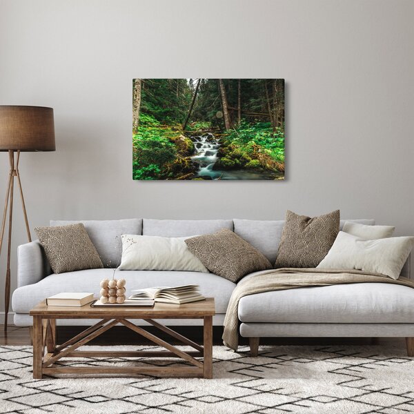 Obraz potoka v lese (90x60 cm)