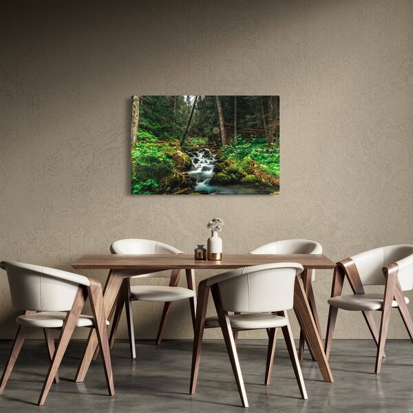 Obraz potoka v lese (90x60 cm)