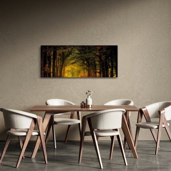 Obraz lesu (120x50 cm)