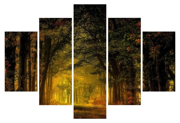 Obraz lesu (150x105 cm)