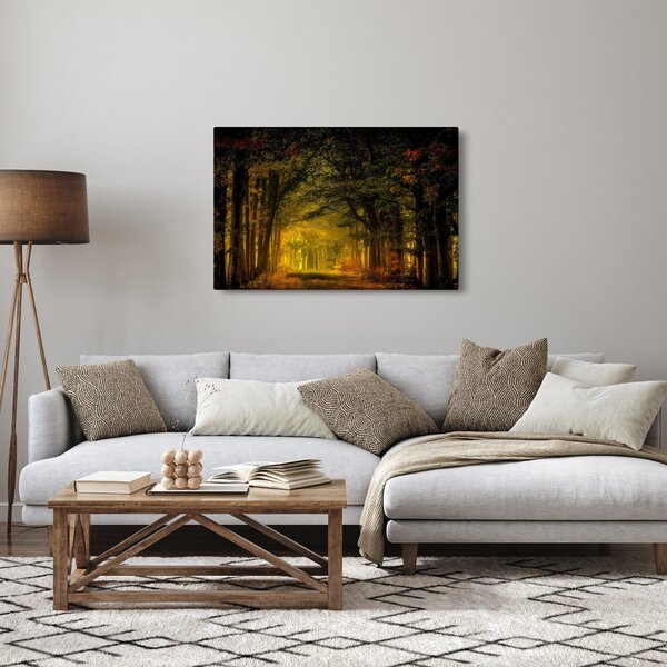 Obraz lesu (90x60 cm)