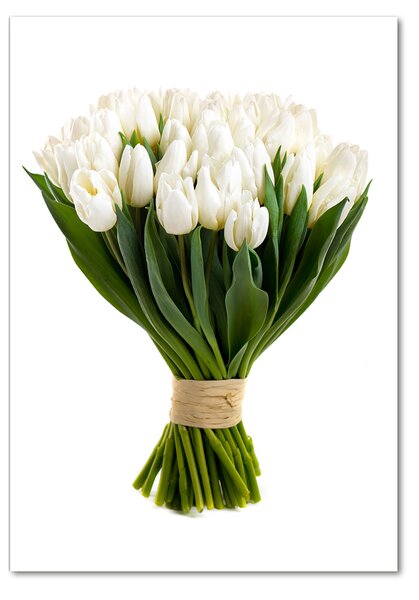 Foto obraz fotografie na skle Biele tulipány