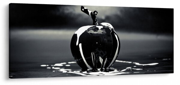Obraz čierneho jablká (120x50 cm)