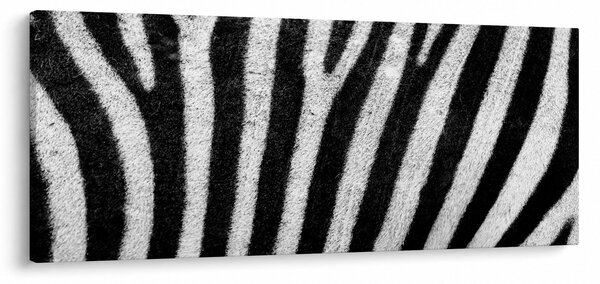 Obraz kože zebry (120x50 cm)