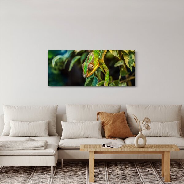 Obraz chameleóna (120x50 cm)