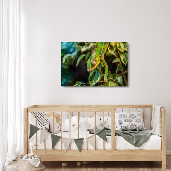 Obraz chameleóna (90x60 cm)