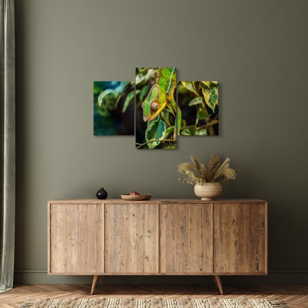 Obraz chameleóna (90x60 cm)