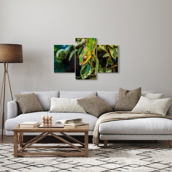 Obraz chameleóna (90x60 cm)