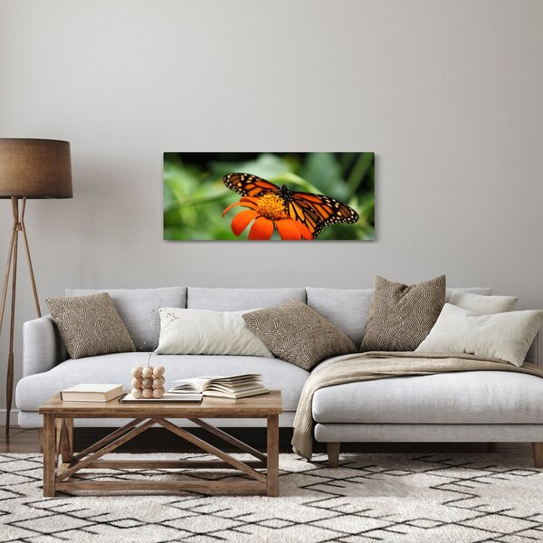 Obraz motýľa na kvetine (120x50 cm)