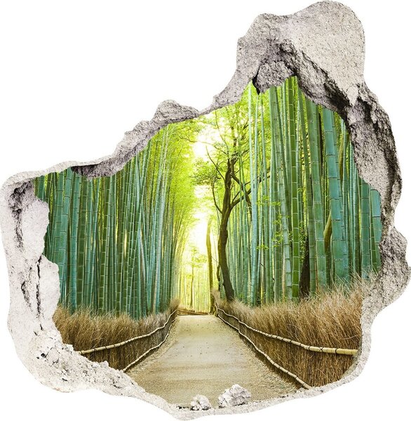 Diera 3D fototapety nálepka Bambusové lesy nd-p-72519653