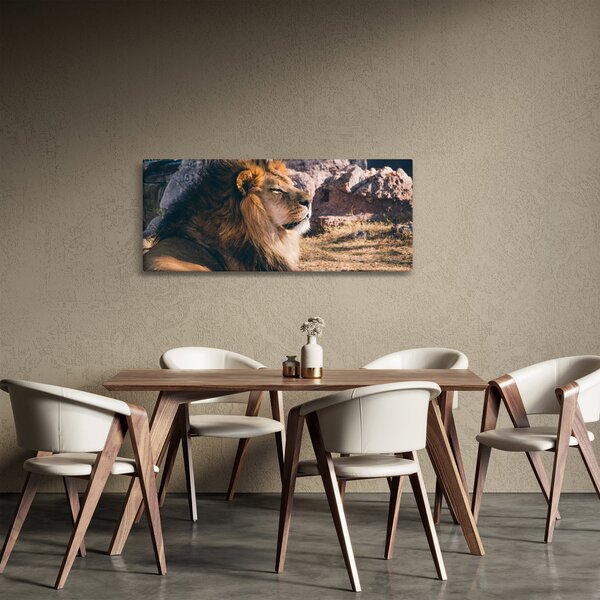 Obraz ležiaceho leva (120x50 cm)