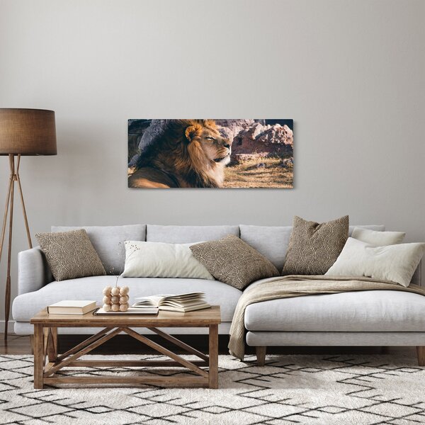 Obraz ležiaceho leva (120x50 cm)
