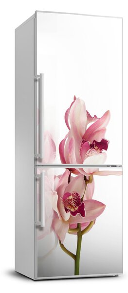 Foto tapeta na chladničku Ružová orchidea