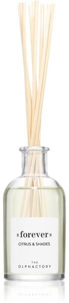 Ambientair The Olphactory Citrus & Shades aróma difuzér Forever 100 ml