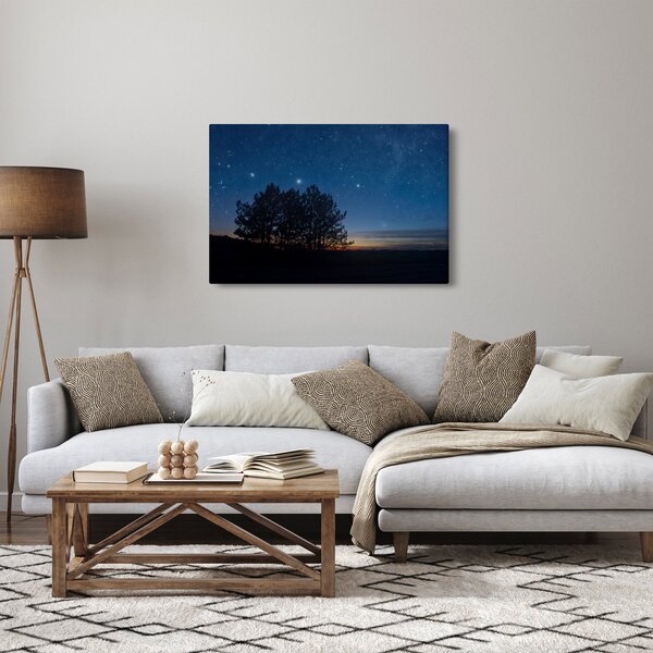 Obraz stromov v noci (90x60 cm)