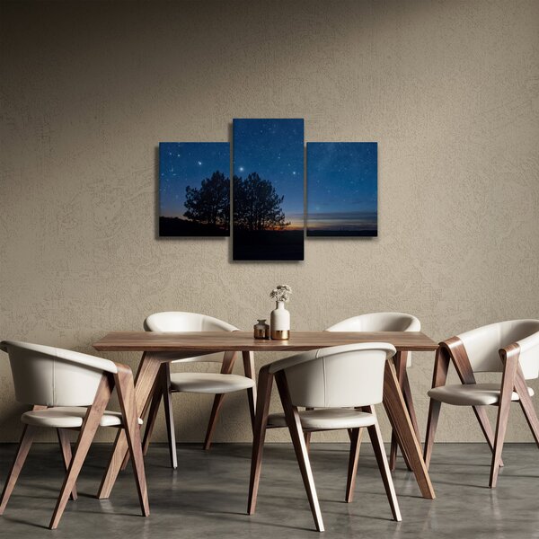 Obraz stromov v noci (90x60 cm)