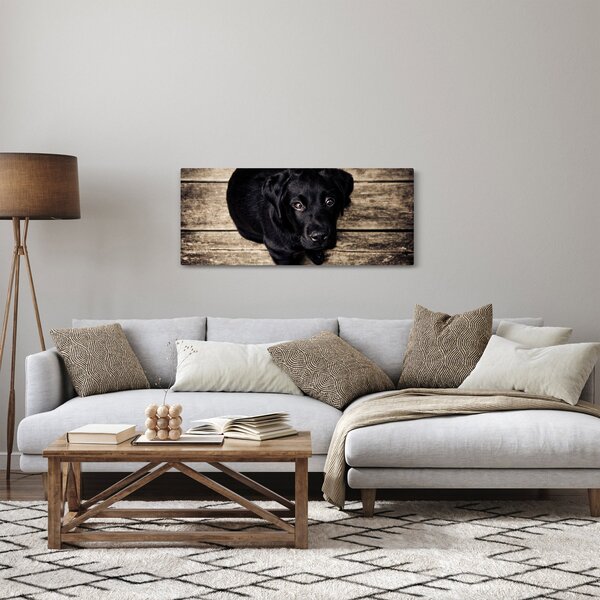 Obraz čierneho šteňaťa (120x50 cm)