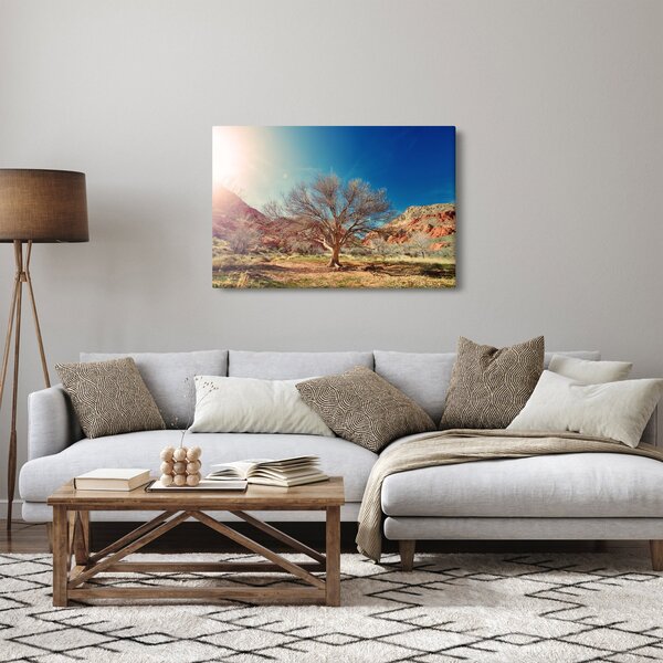 Obraz stromu v púšti (90x60 cm)
