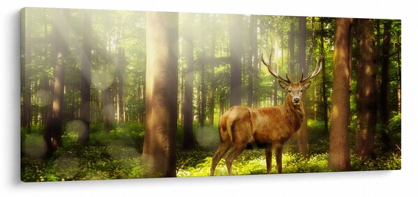 Obraz jeleňa v lese (120x50 cm)