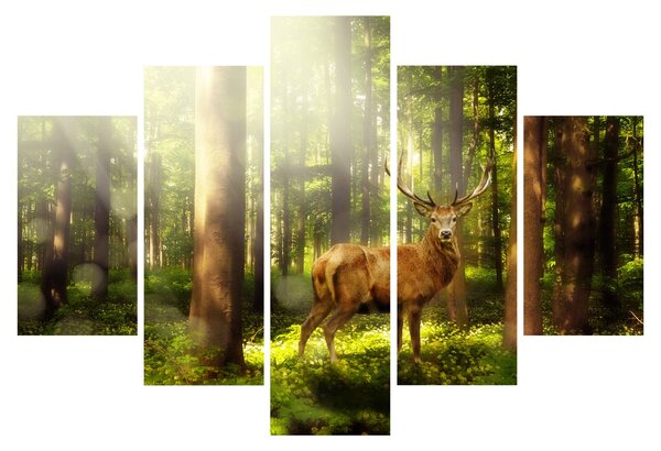 Obraz jeleňa v lese (150x105 cm)