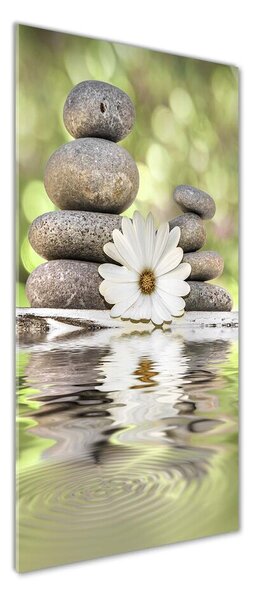 Foto obraz skleněný svislý Kamenia a kvet