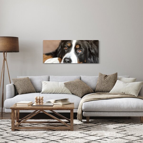 Obraz psa (120x50 cm)