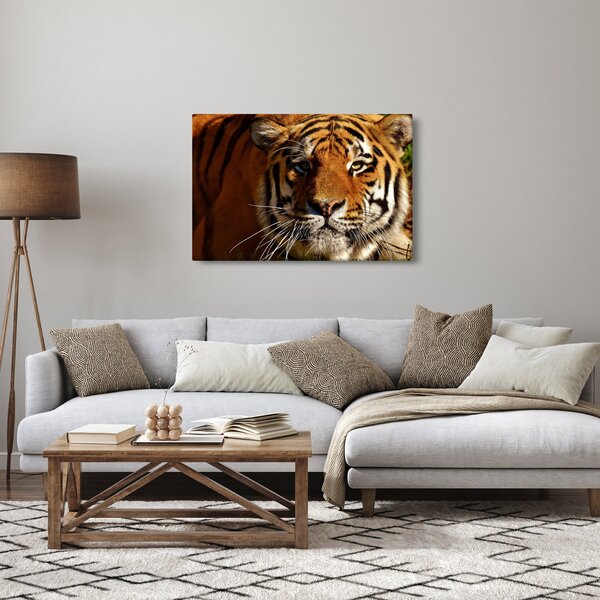Obraz tigra (90x60 cm)
